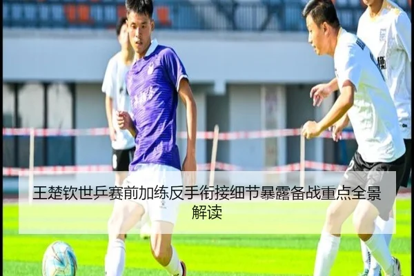 王楚钦世乒赛前加练反手衔接细节暴露备战重点全景解读
