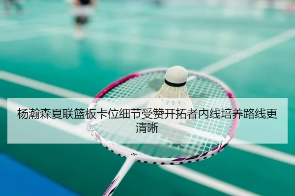 杨瀚森夏联篮板卡位细节受赞开拓者内线培养路线更清晰